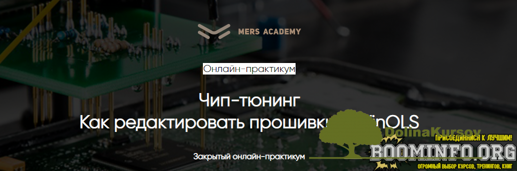 mers-academy-chip-tjuning-kak-redaktirovat-proshivki-v-winols-2021-png.48748