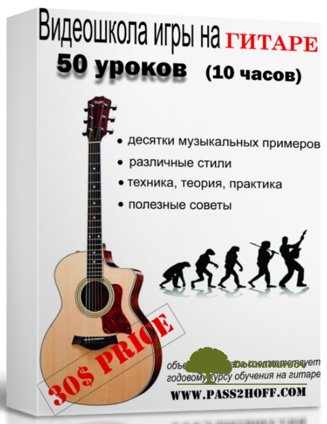 vasilij-pastuxov-videoshkola-igry-na-akusticheskoj-gitare-kurs-fingerstajl-aranzhirovki-png.48319